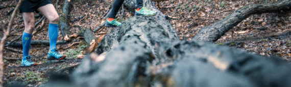 Wilischlauf – der Lauf deines Lebens am 09.04.2022